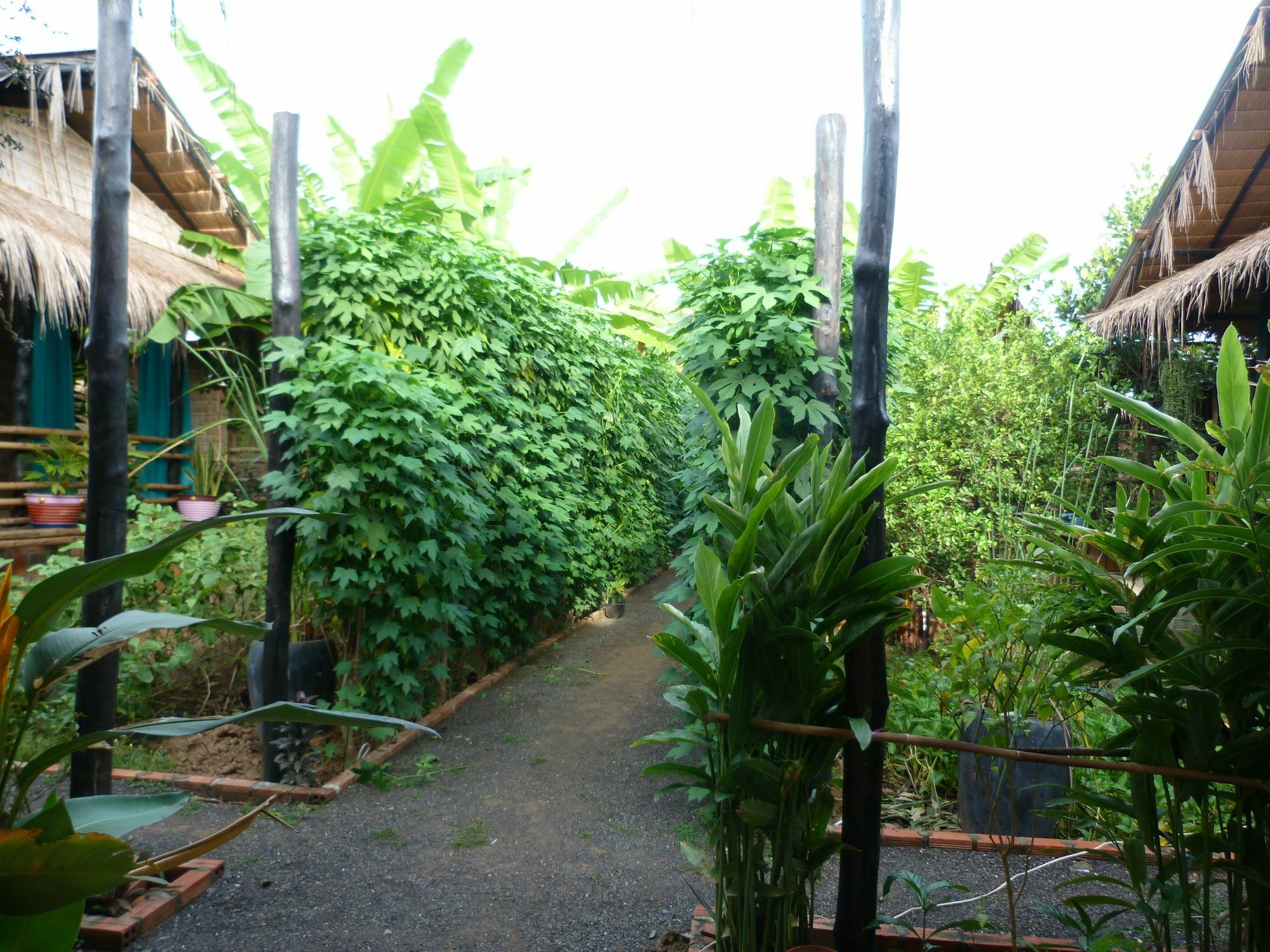 Battambang Dream Bungalows מראה חיצוני תמונה